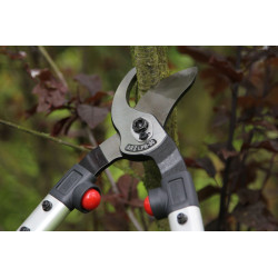 Ebrancheur ARS 63cm, M, rouge/gris