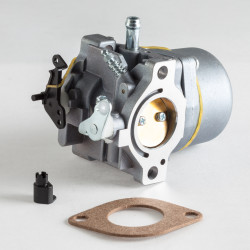 Carburateur Adapt. Briggs &amp; Stratton 799728 - 498027 - 699831