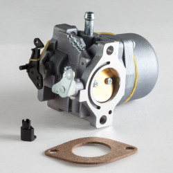 Carburateur Adapt. Briggs &amp; Stratton 799728 - 498027 - 699831