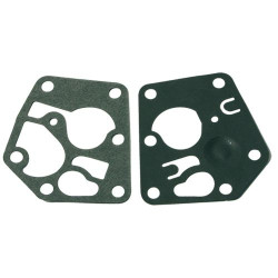 Membrane adaptable a b&amp;s 495770-795083
