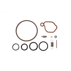 Kit carbu B&amp;S 590589 pour Modèle 08P et 09P