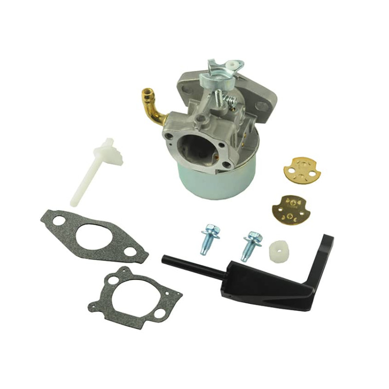 Carburateur adapt. Briggs &amp; Stratton 6 cv Rempl. 798653, 698860