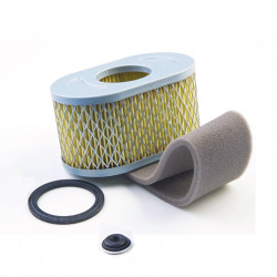 Filtre à air rempl. Briggs &amp; Stratton 797033-797032-798504