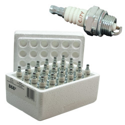 Bougie Champion (pack de 24)