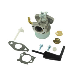 Carburateur adapt. Briggs &amp; Stratton 6 cv Rempl. 798653, 698860