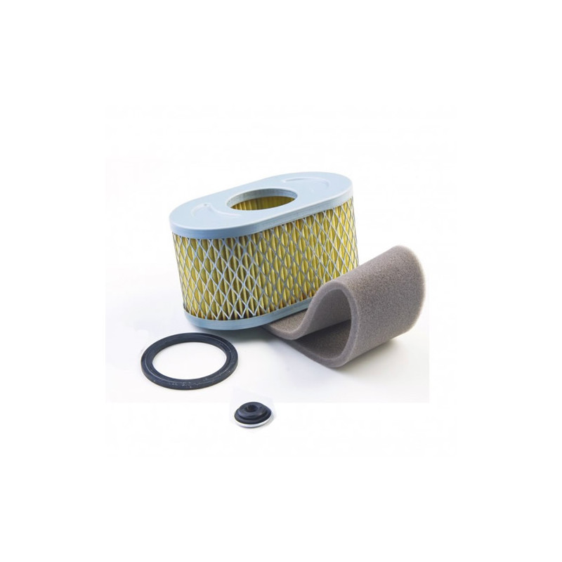 Filtre à air rempl. Briggs &amp; Stratton 797033-797032-798504