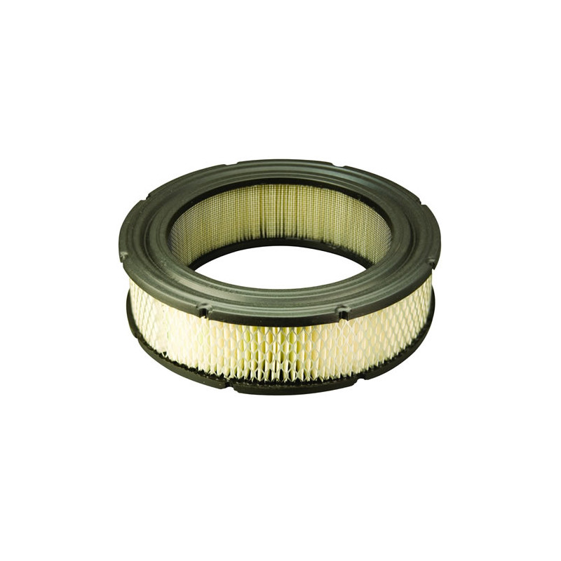 Filtre à air rempl. Briggs &amp; Stratton 692519 - 806232