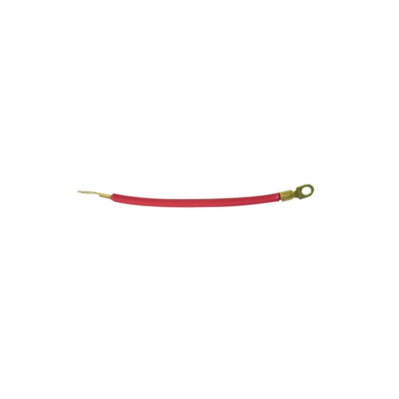 Cable rouge avec cosses (20  cm)