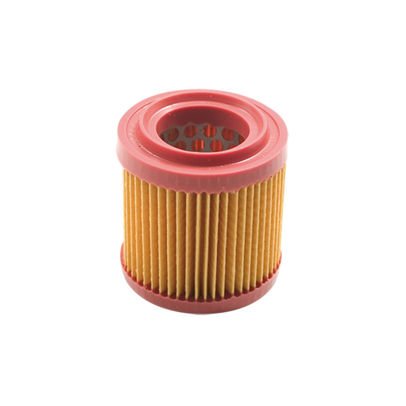 Filtre adaptable a as Motor 4221