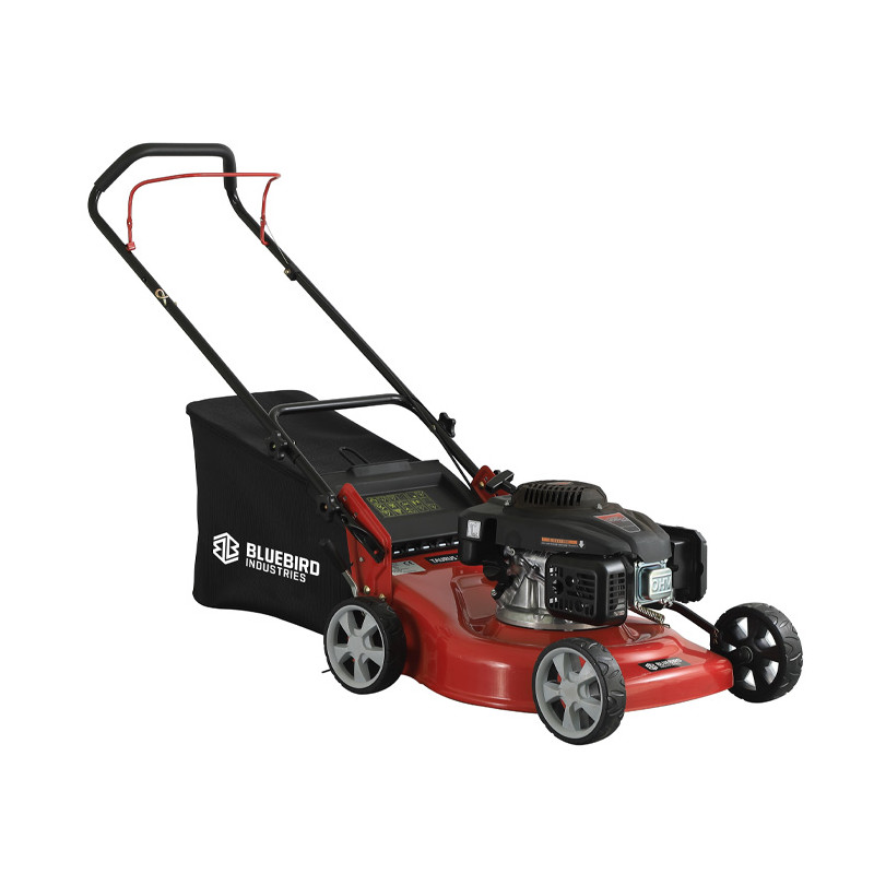 Tondeuse Bluebird TAURUS L46 moteur Loncin (887440)