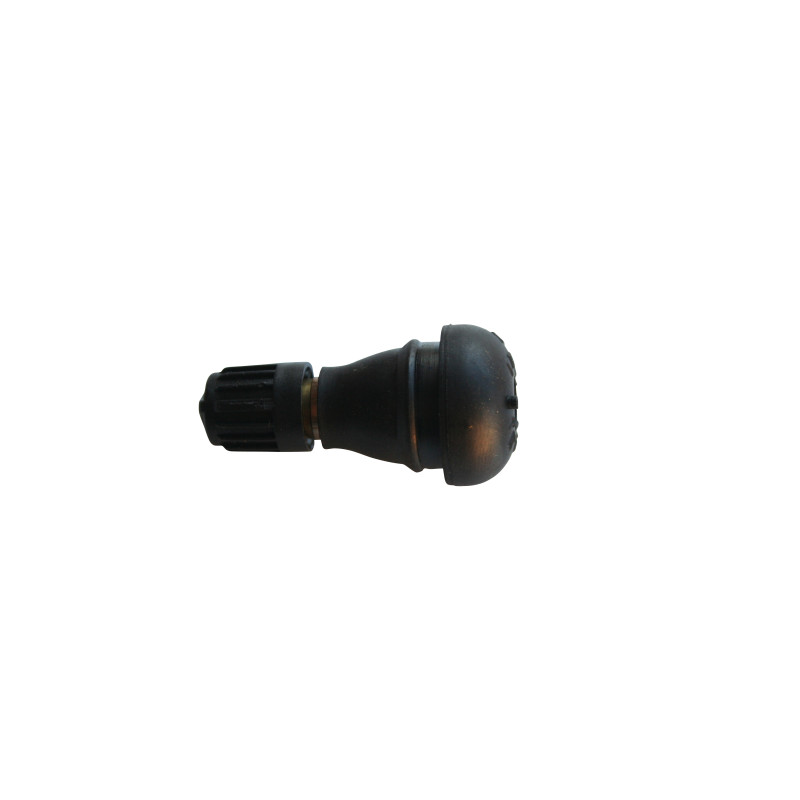 Valve pour pneu  TR412 modèle court