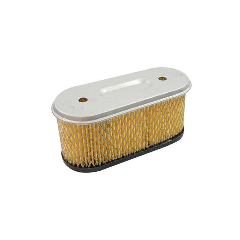 Filtre adaptable a b&amp;s 491021 vanguard