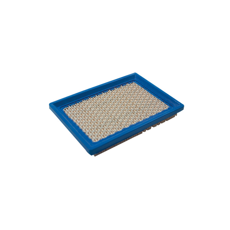 Filtre adaptable Briggs &amp; Stratton 397795