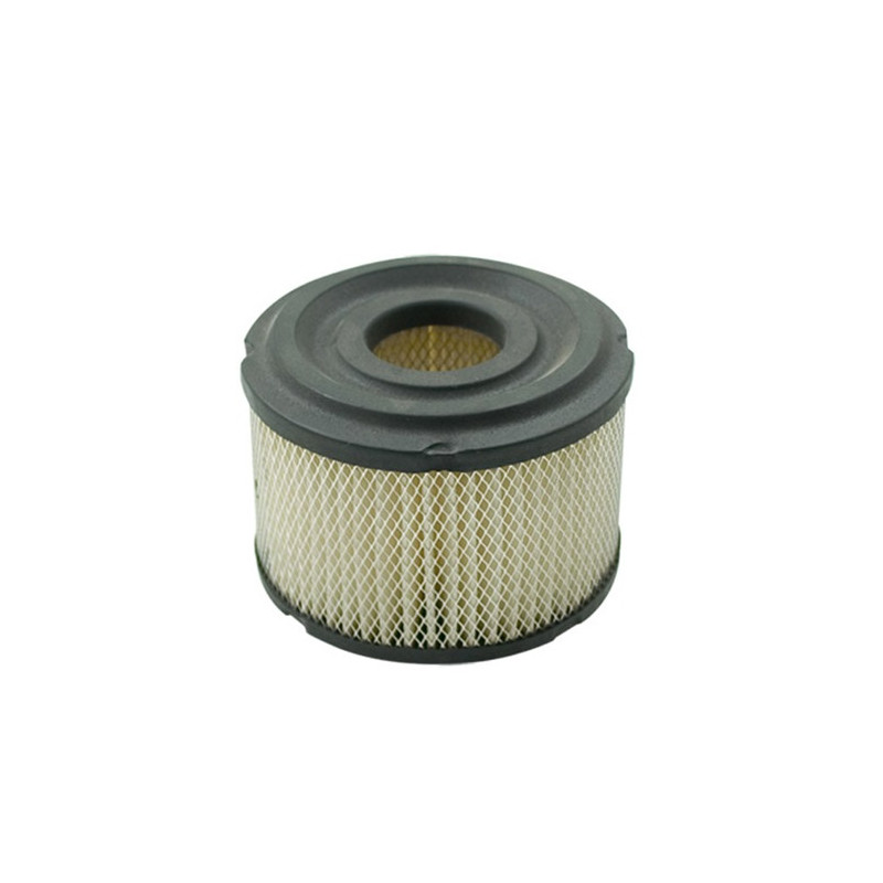 Filtre adaptable a b&amp;s 390492