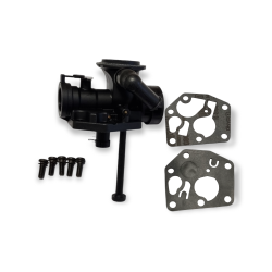 CARBURATEUR ADAPTABLE A B&amp;S 498809-498811   Remplace 494775 - 494407
