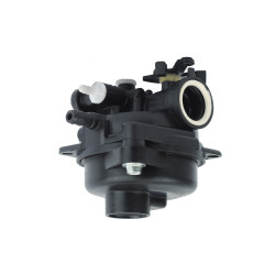 Carburateur Briggs 591979, 595656, 84001028 pour Série 300E, 450E