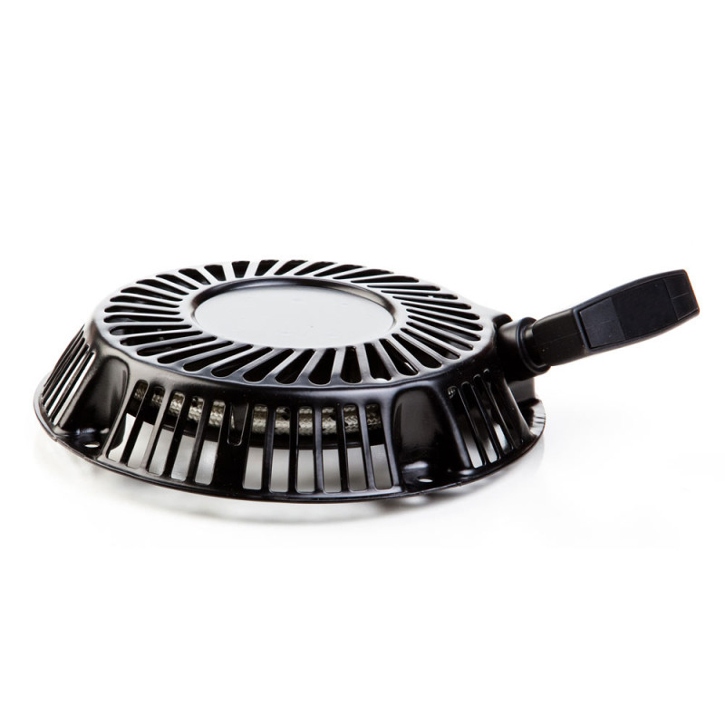 Lanceur Adapt. B&amp;S Rempl. 798825-797732