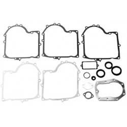 Kit joint adaptable a b&amp;s 494241 - 490525