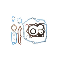 Pochette joint adaptable a b&amp;s 497316