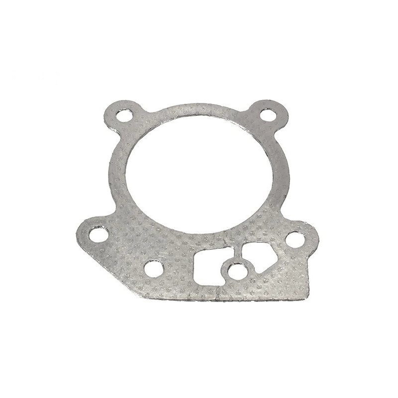 Joint de culasse Adapt. Briggs &amp; Stratton 799586 pour 08P502
