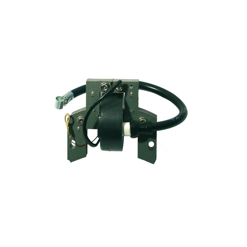 Bobine adaptable a b&amp;s 298502-697036-395488