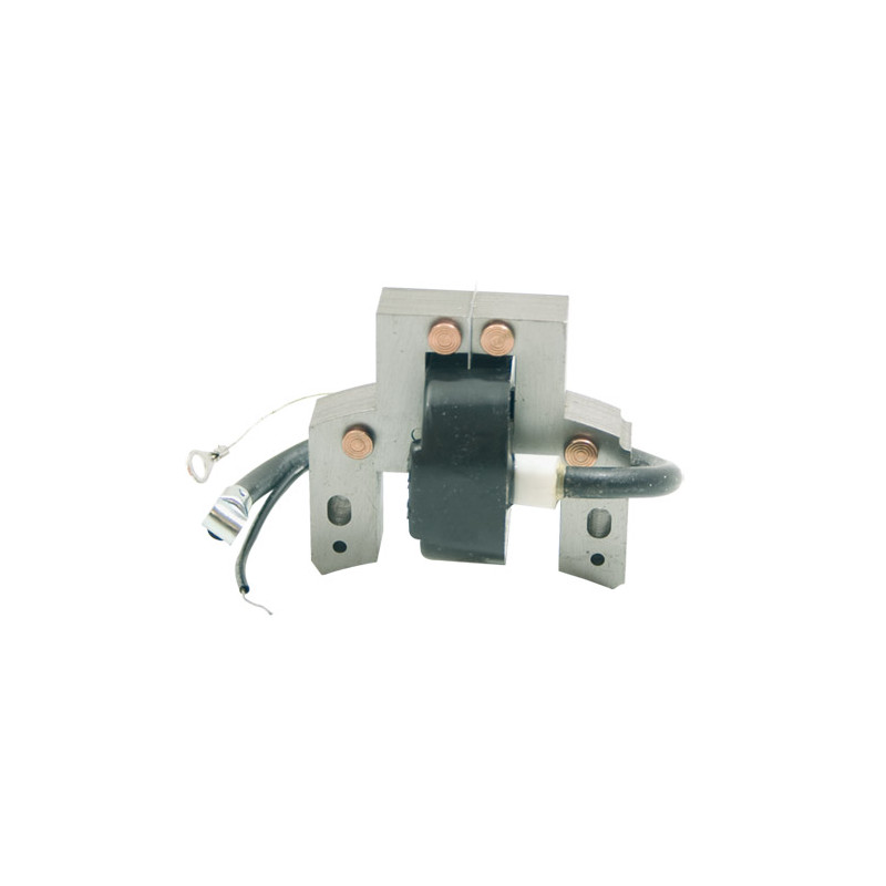 Bobine adaptable a b&amp;s 298316