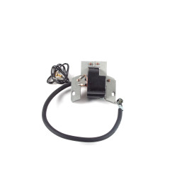 Bobine adapt. Briggs 398593-496914-793281-792594-793352-591420