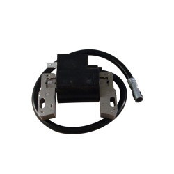 Bobine adapt. Briggs &amp; Straton 492341, 490586, 495859, 491312, 591459
