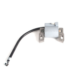 Bobine Adapt. Briggs &amp; Stratton 796500 - 595291