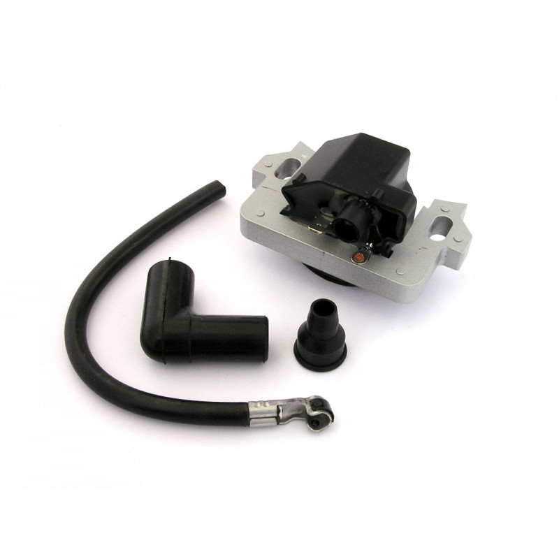 Bobine adapt. Honda pour GCV135-GCV160 - 30500ZL8004