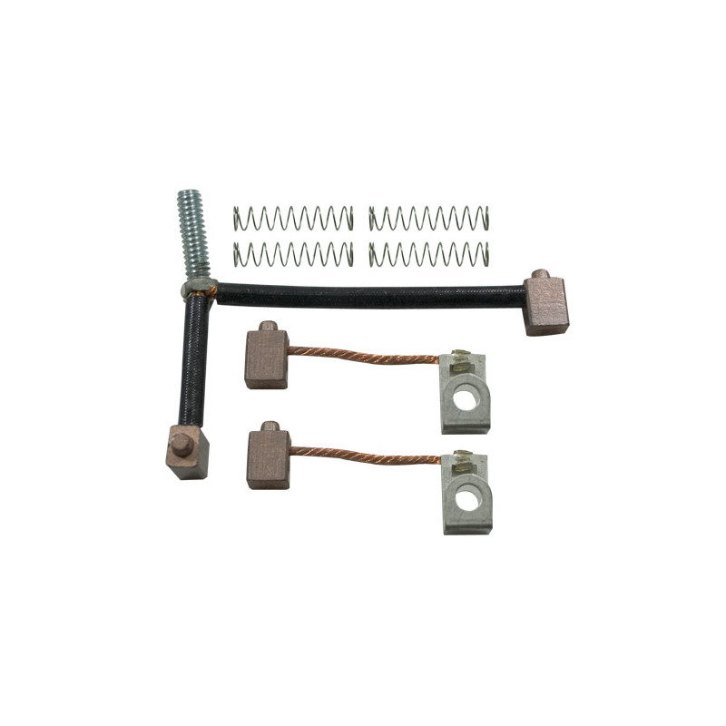 Charbons de démarreur Briggs &amp; Stratton 497608