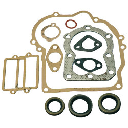 Pochette de joints adap. Tecumseh #16610014