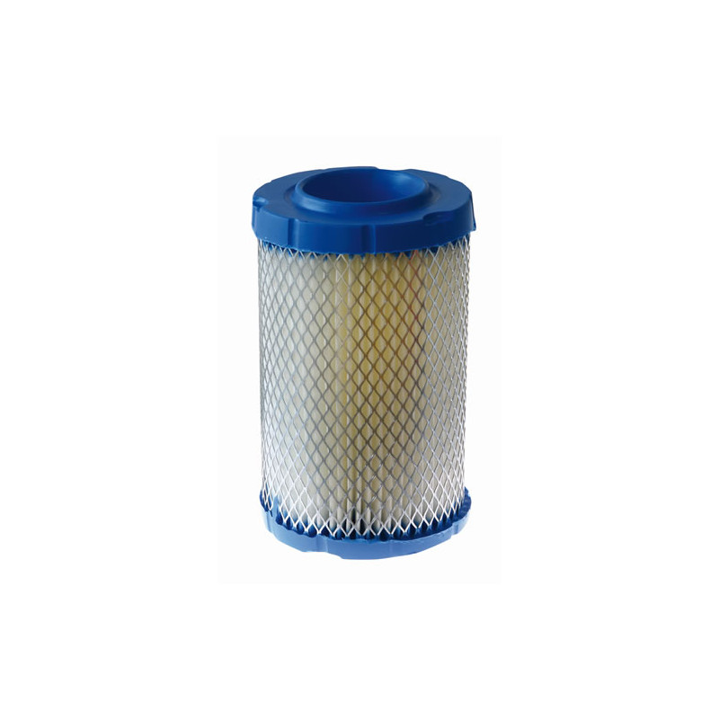 Filtre adaptable a Briggs &amp; Stratton 796031, 594201, 590825