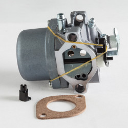 Carburateur Adapt. Briggs &amp; Stratton 799728 - 498027 - 699831