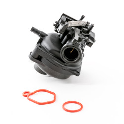 Carburateur Adapt. Briggs &amp; Stratton 591109, 799584, 591110, 84001041