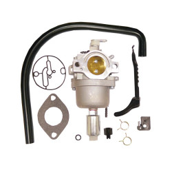 Carburateur Adapt. Briggs &amp; Stratton Rempl. 690194, 799727