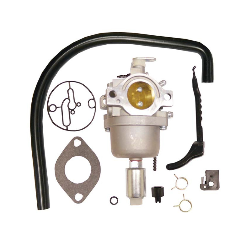 Carburateur Adapt. Briggs &amp; Stratton Rempl. 690194, 799727