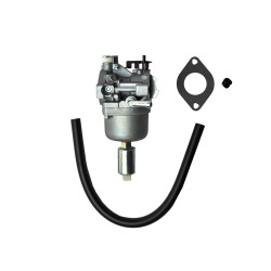 Carburateur adapt. Briggs &amp; Stratton 593433, 699916, 794294