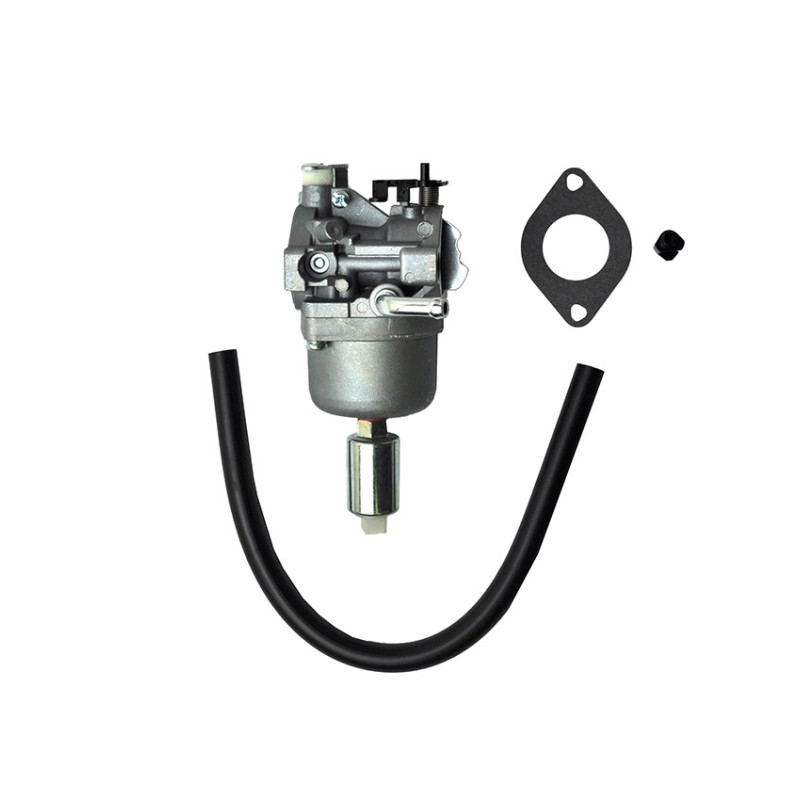 Carburateur adapt. Briggs &amp; Stratton 593433, 699916, 794294