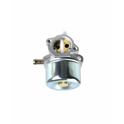 Carburateur Adapt. Briggs &amp; Stratton 799869, 792253 pour série 600