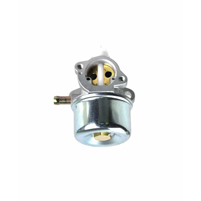 Carburateur Adapt. Briggs &amp; Stratton 799869, 792253 pour série 600