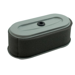 Filtre adaptable a robin EX13-EX17-EX18-EX21 remplace 2613260107