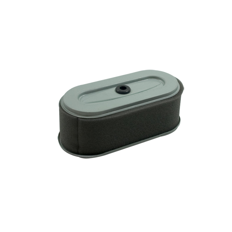 Filtre adaptable a robin EX13-EX17-EX18-EX21 remplace 2613260107