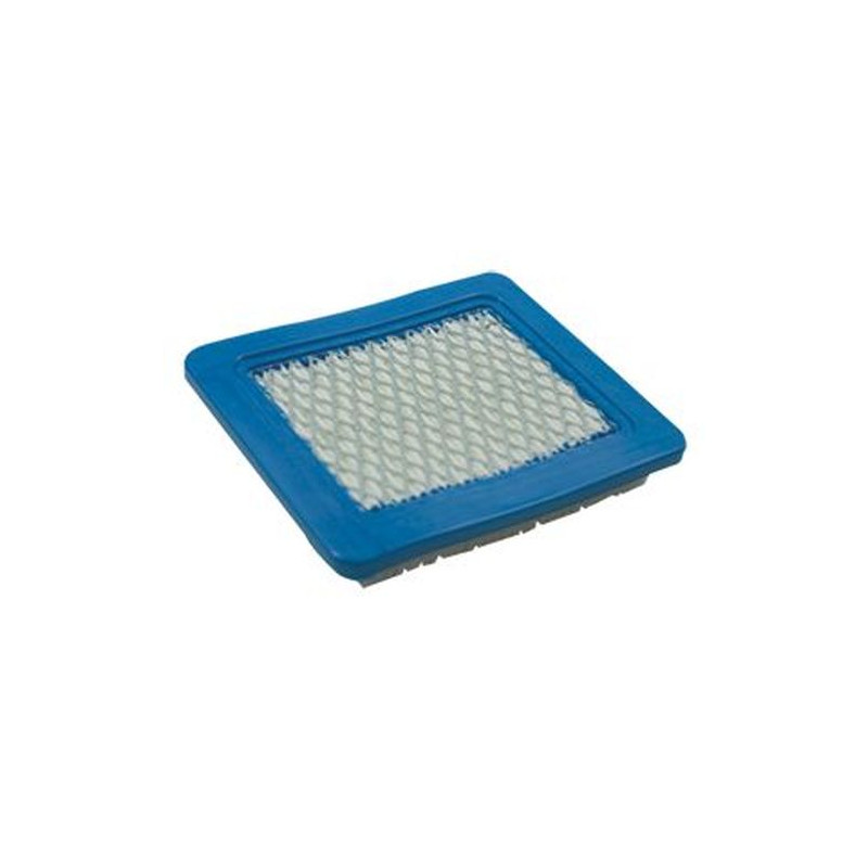 Filtre adaptable Briggs et Stratton remplace 491588, 4101, 399959
